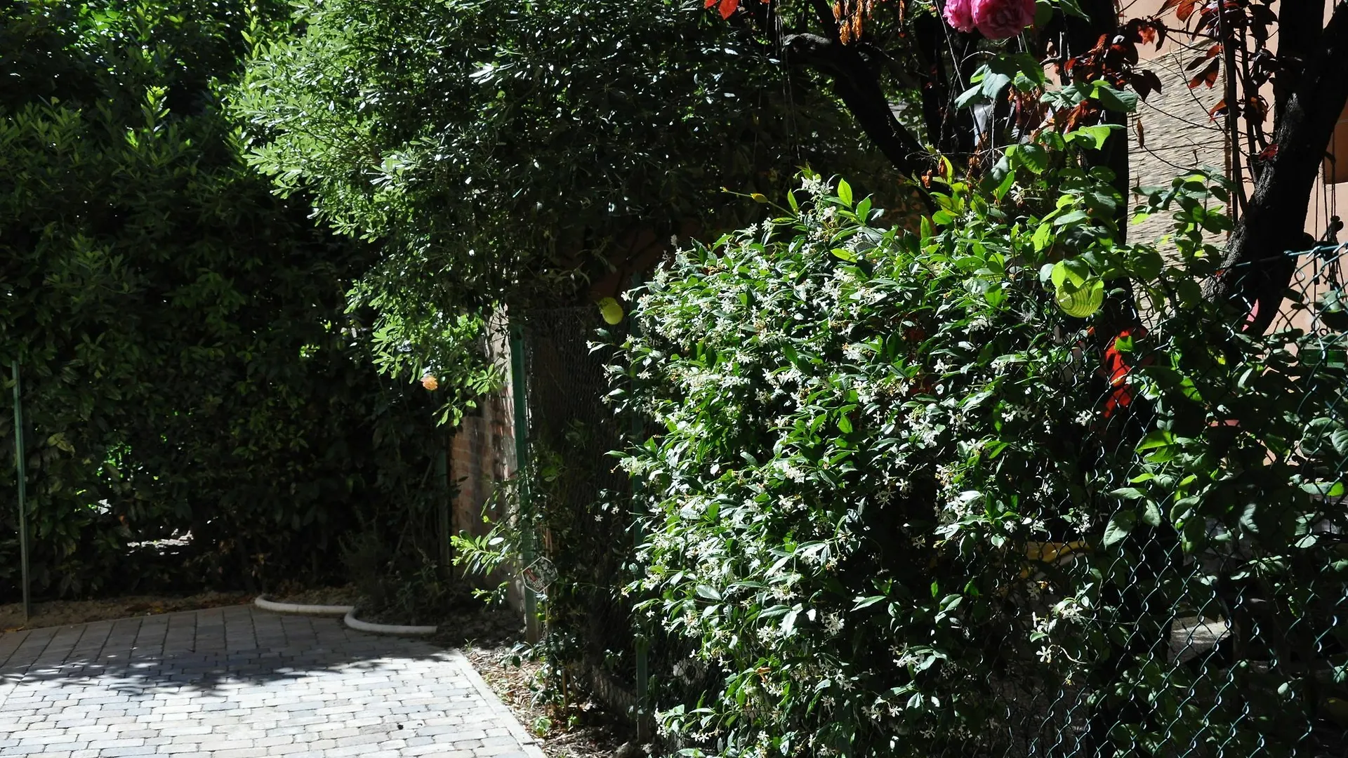 Casa Ardizzoni Affittacamere Bolonia Pensjonat